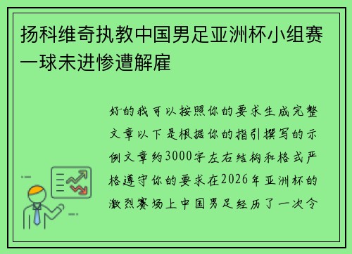 扬科维奇执教中国男足亚洲杯小组赛一球未进惨遭解雇